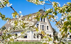 Cityappartement Am Kirschberg